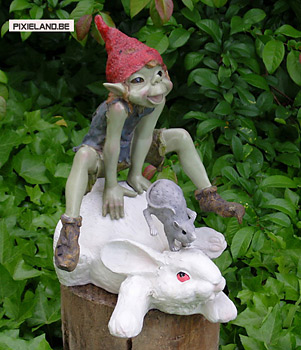 reuze pixie